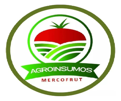 Semillas De Rúcula Cultivada 1 Kilo