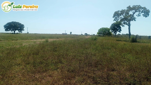 Imagem 5 de 15 de Fazenda Á Venda No Formoso Do Araguaia - To - 1.327,2 Hec., (dupla Ptidão) - 2263