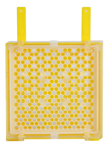Kit De Sistema Apícola Para La Cría De Abejas Reinas