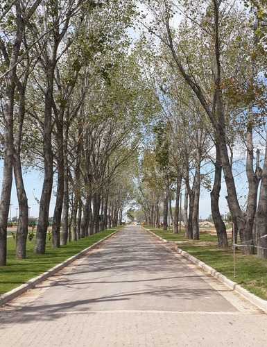 Imagen 2 de 12 de Terreno En Venta En La Alameda