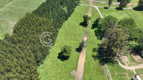 Imagen 10 de 15 de Parcelas Con Acceso A Rio - Robles Del Rahue