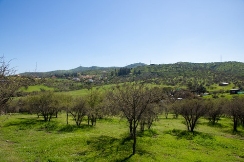 Venta Parcela En Limache, En Condominio Santa Teresa