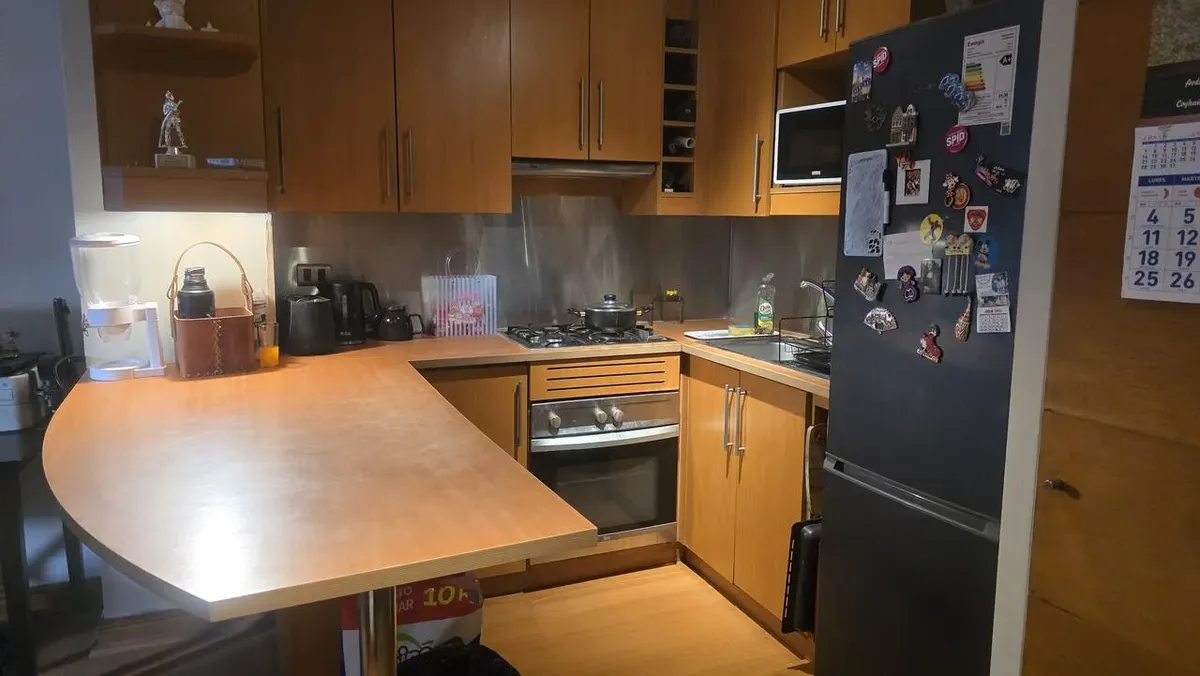 Imagen 4 de 16 de Arriendo Departamento 2hab 2ba Providencia