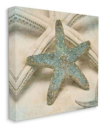 Stupell Industries Starfish Con Textura Desgastada, Diseño A