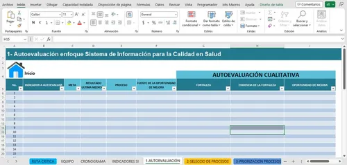 Formato Registro Ruta Crítica Pamec - Sistema Información