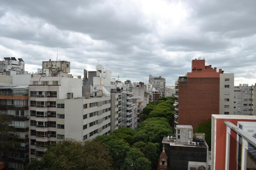 Venta Apartamento Penthouse 3 Dormitorios Punta Carretas Ref 784
