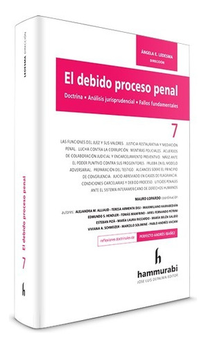 El Debido Proceso Penal Vol. 7 Ledesma