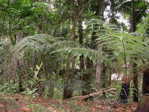 Imagem 2 de 8 de Terreno Residencial À Venda, Represa, Ribeirão Pires - Te3946. - Te3946