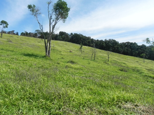 (sc) Lotes Com Pequena Entrada E Saldo Parcelado-t. Preta