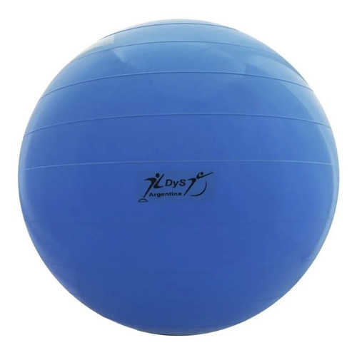 Imagen 3 de 10 de Pelota Pilates 70 Cm 900gr Reforzada Yoga Esferodinamia Gym