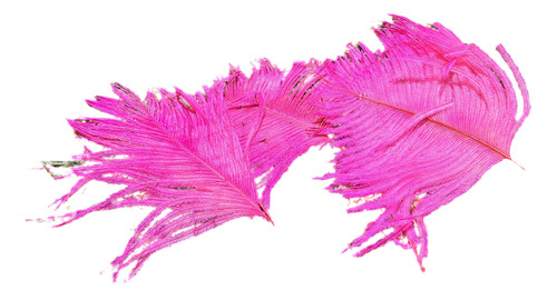 Plumas De Amazona De Avestruz Deflecada Decoración, Comparsa