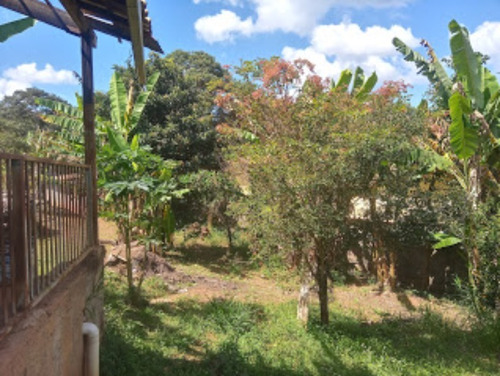 Imagem 11 de 30 de Sítio C/ Casa, Piscina, Pomar E Um Lindo Chalé Em Condomínio Rural Clube Juca Vieira C/ Área De 9.000 M², No Condomínio Clube Campestre Juca Vieira! - Oci0106 - 69677222