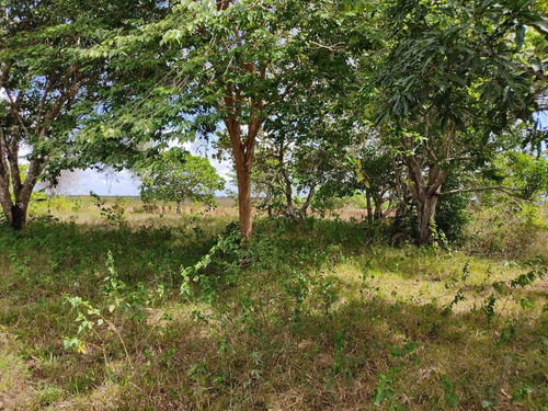 Se Vende Finca En Aribi, Via Al Sur De Monagas Ve02-554vs-dced