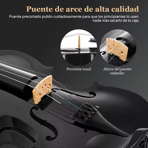 Violin Acustico 4/4 Profesional Con Estuche Y Arco Y Accesorios Color Negro AMOLORIA