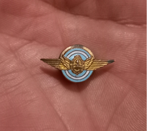 Pins Aeronáutica Militar Fuerza Aérea Argentina Antiguo