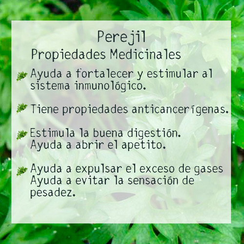 Tintura Madre De Perejil 50ml | Tónico Herbal