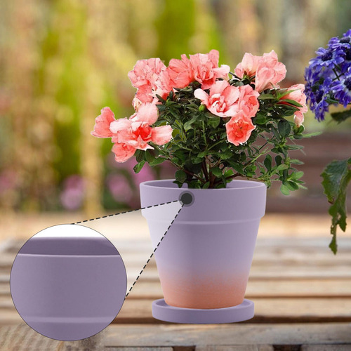 Planta Maceta De Flores Macetas Interiores Al Aire Libre Con