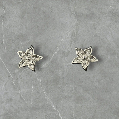 Aretes De Acero Inox Flor Estrella