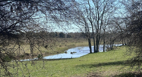 Venta - Lote Interno - Estancia Carabassa | Vco Propiedades