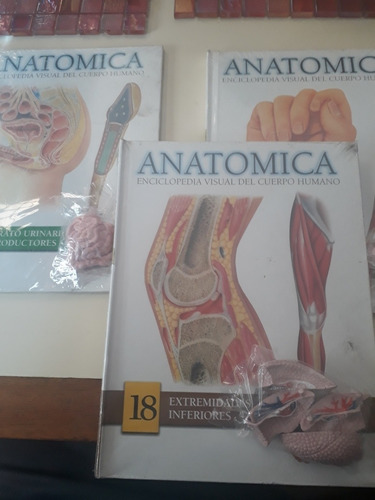 Enciclopedia Del Cuerpo Humano Anatomica