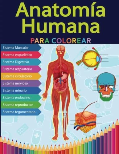 Libro : Anatomia Humana Para Colorear Anatomia Y Fisiologi 