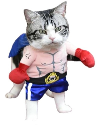 Disfraz Halloween Boxeador Perro Gato Mascota Talla Xl