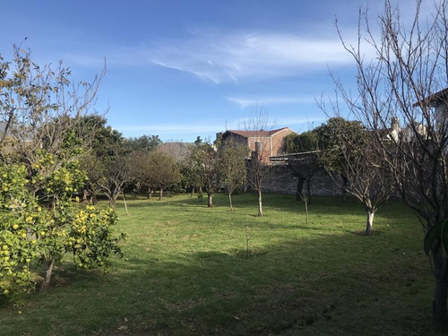 Imagen 2 de 13 de Lencke Vende - Amplia Fraccion Ideal Para Desarrollo Conjunto De Viviendas