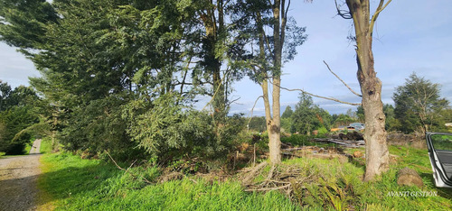 Venta Parcela Robles De Pilauco Osorno (127903)