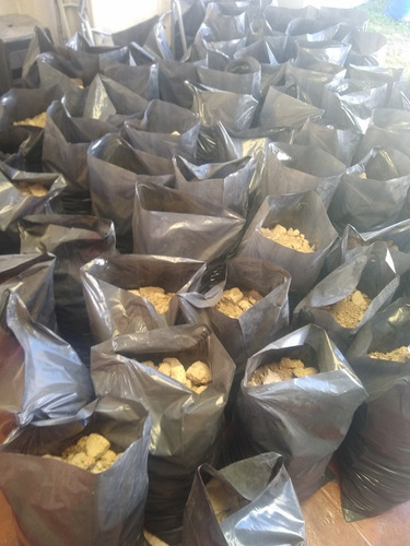 Escombro Picado En Bolsa Para Contrapiso