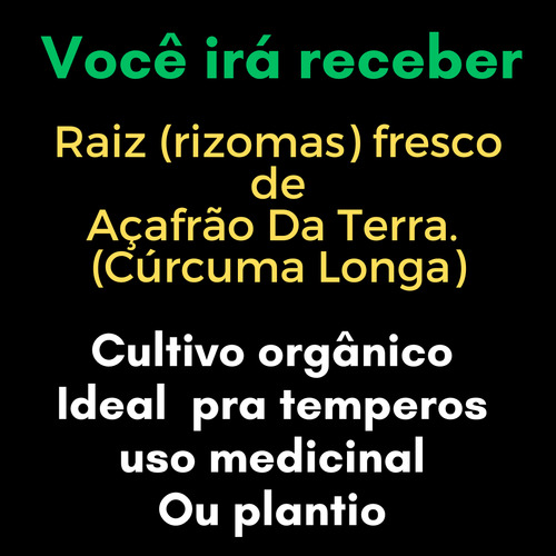 Açafrão/ Curcuma, Raiz Fresca, Para Plantar Ou Fazer Pó 3kg