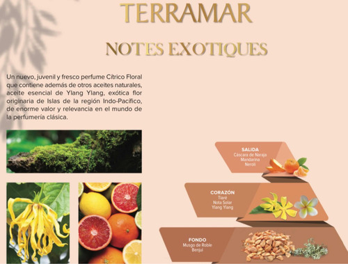 Perfume Terramar Eclat D Ylang Notes Exotiques Para Dama