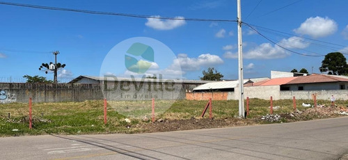 Imagem 15 de 16 de Terreno A Venda No Bairro Borda Do Campo Em São José Dos - 30084-1