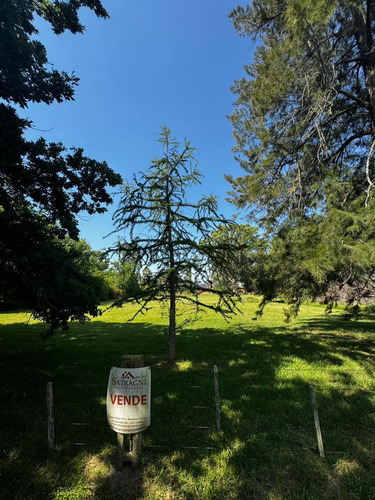 Venta Terreno En Barrio Los Bosquecitos Brandsen