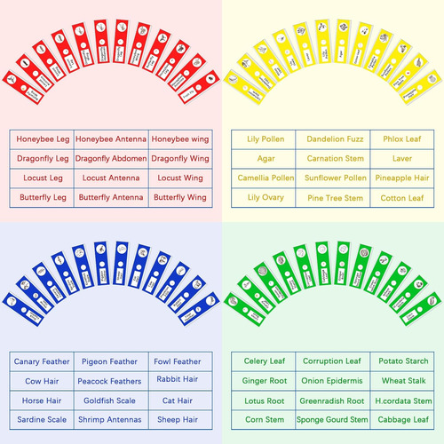 120 Piezas De Diapositivas De Microscopio Preparadas Para Ni
