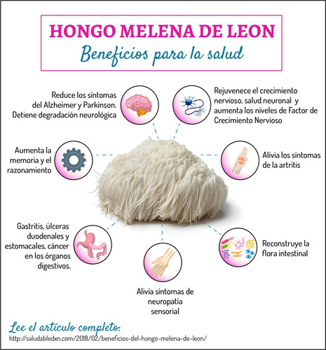 Hongo Melena De Leon Extracto (hericium Erinaceus) 120 Ml