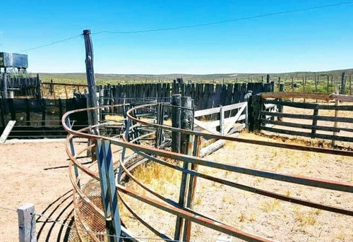 Imagen 2 de 6 de Terreno - El Cuy