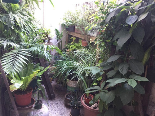 Imagen 16 de 17 de Ph 4 Ambientes Venta - Saavedra