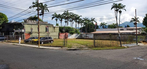 Imagen 3 de 8 de Marialba Giordano Terreno En Venta El Viñedo Valencia 454374