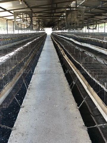 Imagen 12 de 14 de Venta De Granja Avicola En El Zulia Para Inversionistas