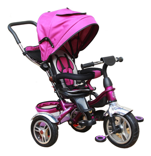 Triciclo Zippy Toys TZT50 violeta