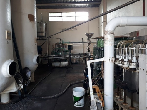 Vendo Bodega Con Viñedos Y Elaboración Propia
