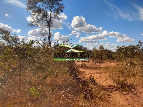 Imagem 12 de 15 de Fazenda 102,22 Hectares, R$ 2.788,10 Ha, Santa Fé De Minas Mg, Pecuária, - 442