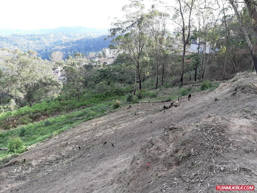 Imagen 4 de 12 de Venta De Terreno En San Antonio De L Altos Club De Campo Rz