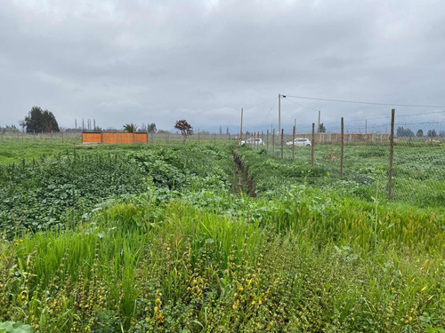 Imagen 4 de 19 de Bajó De Precio! Sitio En Parcelación De Isla De Maipo