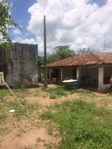 Imagem 2 de 19 de Excelente Granja 12 Hec Nas Margens Da Pe 75 Em Aliança, Aceito Imóvel Ou Automóvel - Ch00028