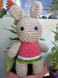 Chiclayo Peluche Conejo A Crochet Personalizables