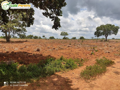 Imagem 1 de 8 de Fazenda À Venda Em Dois Irmãos Do Buriti - Ms - 375 Hectares - 2132