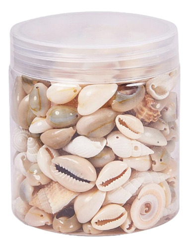 Feitiços De Artesanato Para Conchas Na Praia Do Oceano