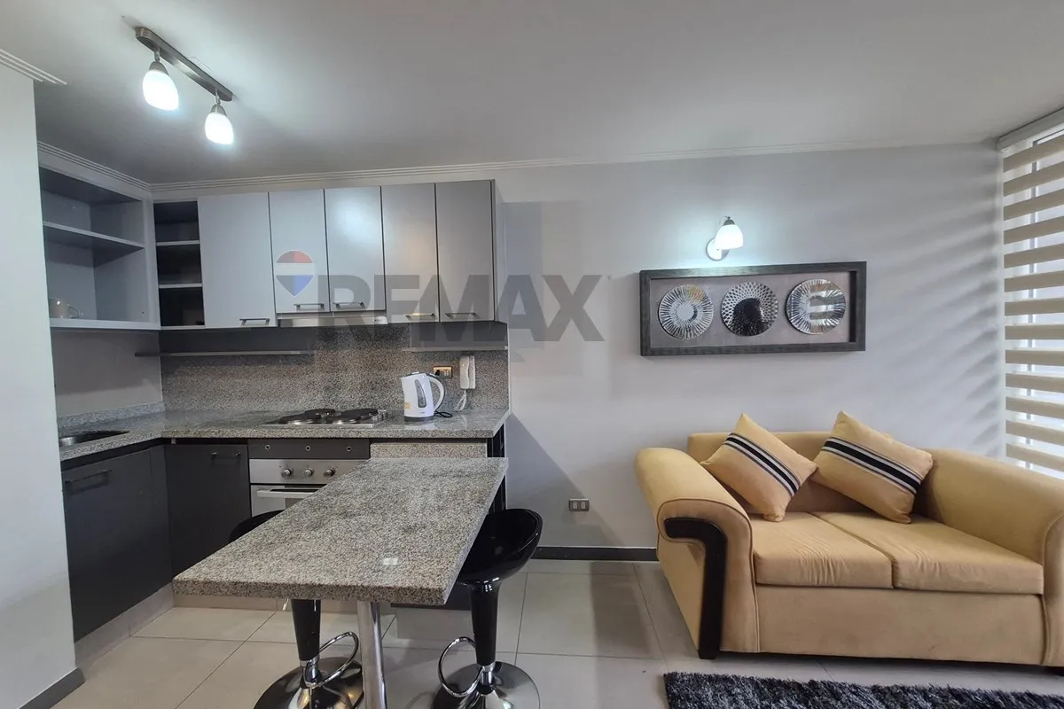 Imagen 4 de 22 de Arriendo Departamento Amoblado
