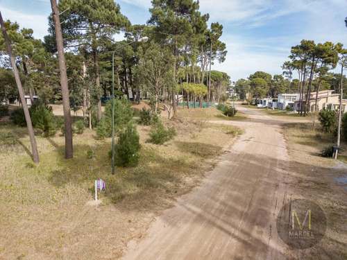 Imagen 3 de 13 de Lote En Venta - Alamos Ii - Pinamar